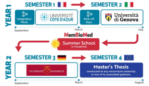 Erasmus Mundus MemBioMed Scholarship 2026 Field Covered